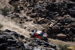 Dakar25-RBull-500