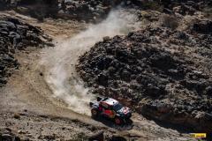 Dakar25-RBull-501