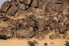 Dakar25-RBull-544