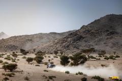 Dakar25-RBull-570