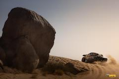Dakar25-RBull-578