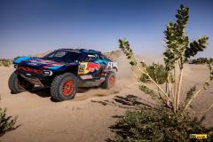 Dakar25-RBull-582
