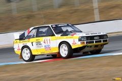Petr-Zacek-Audi-Quattro-S1-drak22