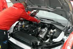 dtm-norisr2015-pj-holky-21