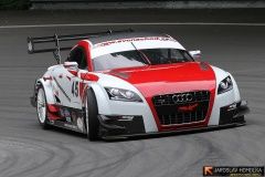 ecce2012-homol-40-vitver