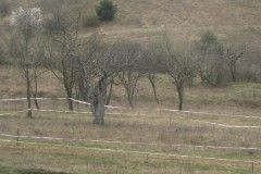 enduro-CAMS-Znojmo23-pj-62