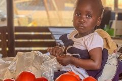 trajda-brazil-afrika-48