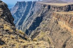 trajda-brazil-afrika-81