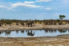 trajda-brazil-afrika-93