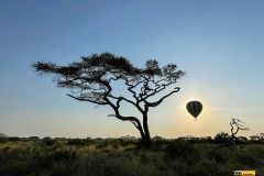 trajda-brazil-afrika-94