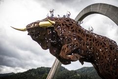Drum the Bull