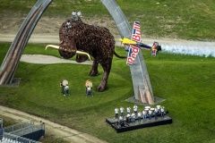 Drum the Bull