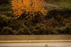 13 Da Costa Antonio Felix (por), DS Techeetah, DS E-Tense FE21, action during the 2021-22 FIA Formula E World Championship Season 8 DS Techeetah launch, in Alès, France - Photo Germain Hazard / DPPI