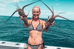 gabi-s-kraby