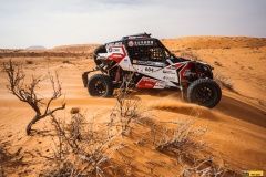 hail_rally_buggyra21-225