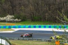 fia_cez_hungaroring_buggyr-micani22-106