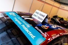 fia_cez_hungaroring_buggyr-micani22-127