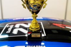 fia_cez_hungaroring_buggyr-micani22-59