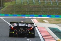fia_cez_hungaroring_buggyr-micani22-89