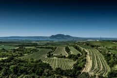 peugeot-cup-hustopece21-3-palava