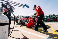 Buggyra-lamba-_imola24-21