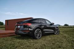 AEZ-Havanna-grey-Audi-SQ8-Etron_imagepic03