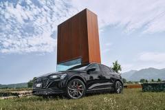 AEZ-Havanna-grey-Audi-SQ8-Etron_imagepic05