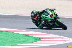 orelac_Misanos-konig-2