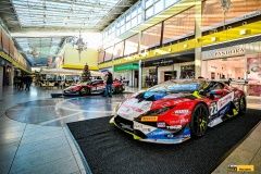 micani-oc_olympia-lamb-10