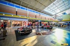 micani-oc_olympia-lamb-11