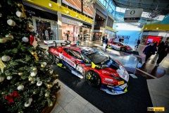 micani-oc_olympia-lamb-14