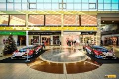 micani-oc_olympia-lamb-15