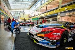 micani-oc_olympia-lamb-16