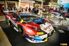 micani-oc_olympia-lamb-32