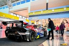 micani-oc_olympia-lamb-4