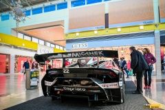 micani-oc_olympia-lamb-5