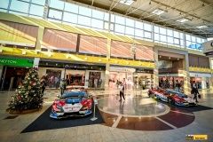 micani-oc_olympia-lamb-8