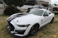 Legendy-Sportaky22-kk-35