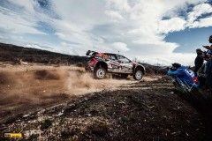 cais-ERC-ME-Fafe23-10