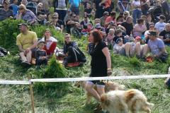 ttr-mohelnice23-pj-19-divaci