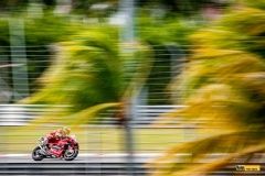 testy-motogp-22-sepang-79