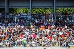 nascar_03_vallelunga22-buggyr-153