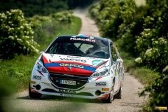 peugeot-cup22-sotol-4