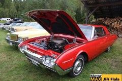 ploutvobrani-luzna21-14