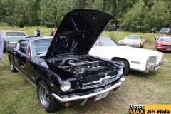 ploutvobrani-luzna21-31