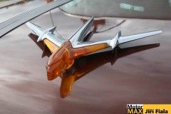 ploutvobrani-luzna21-79