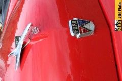 ploutvobrani-luzna21-81