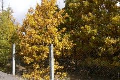 podzimni-masar-okruh-25