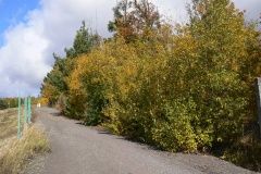 podzimni-masar-okruh-26