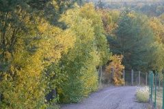 podzimni-masar-okruh-28